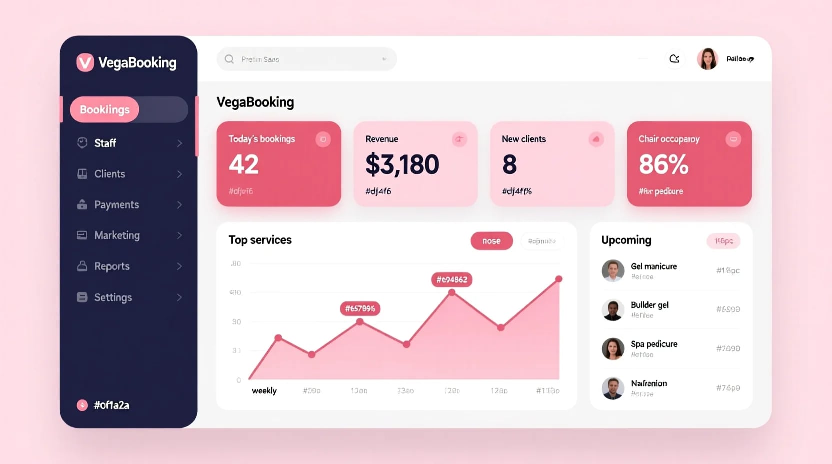 BenaPro dashboard with today's bookings, revenue, and top services