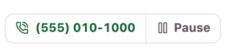 The Console's top bar with the Pause control